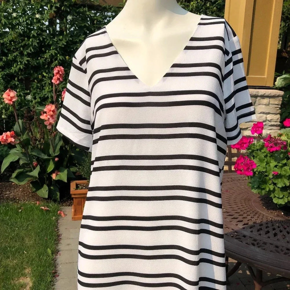 Press Dress Striped Short Sleeve V Neck Lined Mini Dress Black & White Sz S NWT - Picture 2 of 8